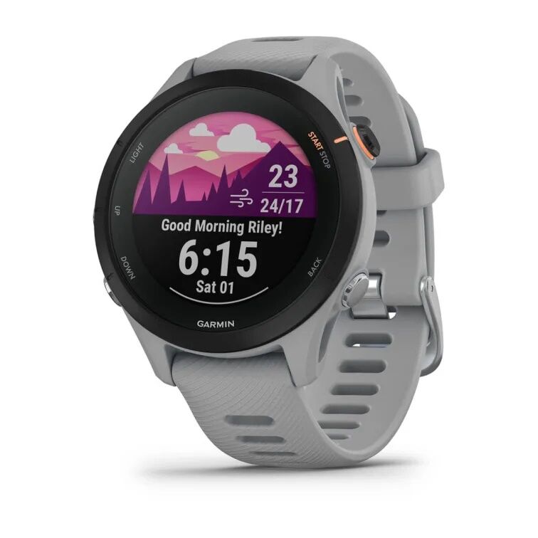 Часы Garmin  Forerunner 255s Powder Gray 010-02641-12
