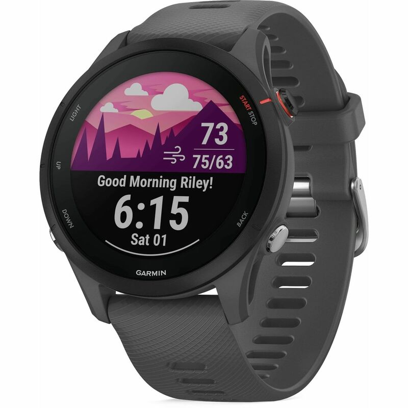 Часы Garmin  Forerunner 255 Slate Gray 010-02641-10